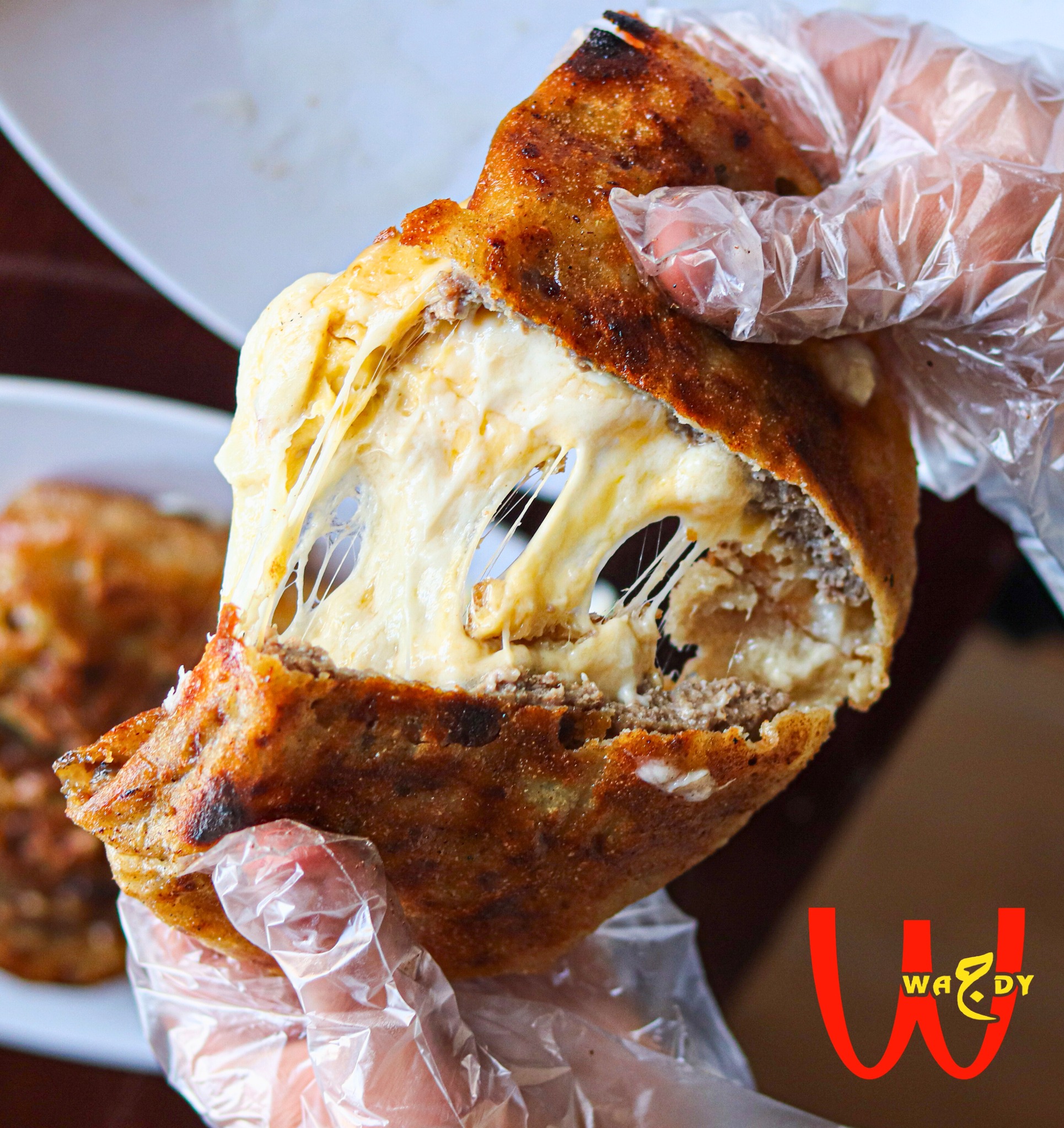 حواوشى اورما رومى